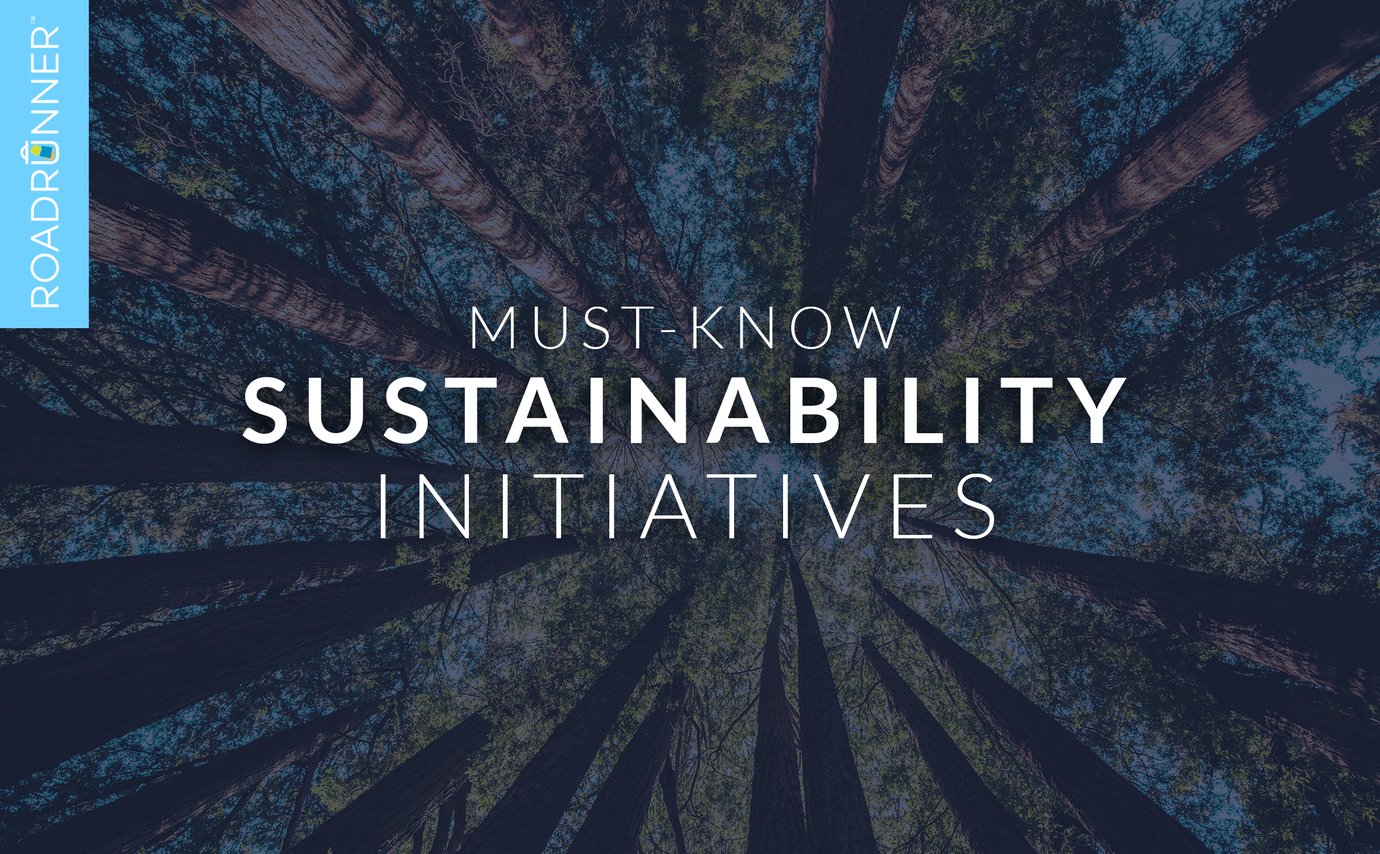 Tall pine trees and blue sky with the words Must-know Sustainability Initiatives.