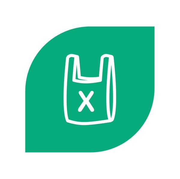 Do Plastic Bag Bans Work? The Green Reasons for More Education