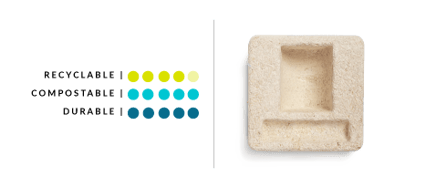 Disadvantages Of Mushroom Packaging Disadvantages Of Mushroom Packaging
