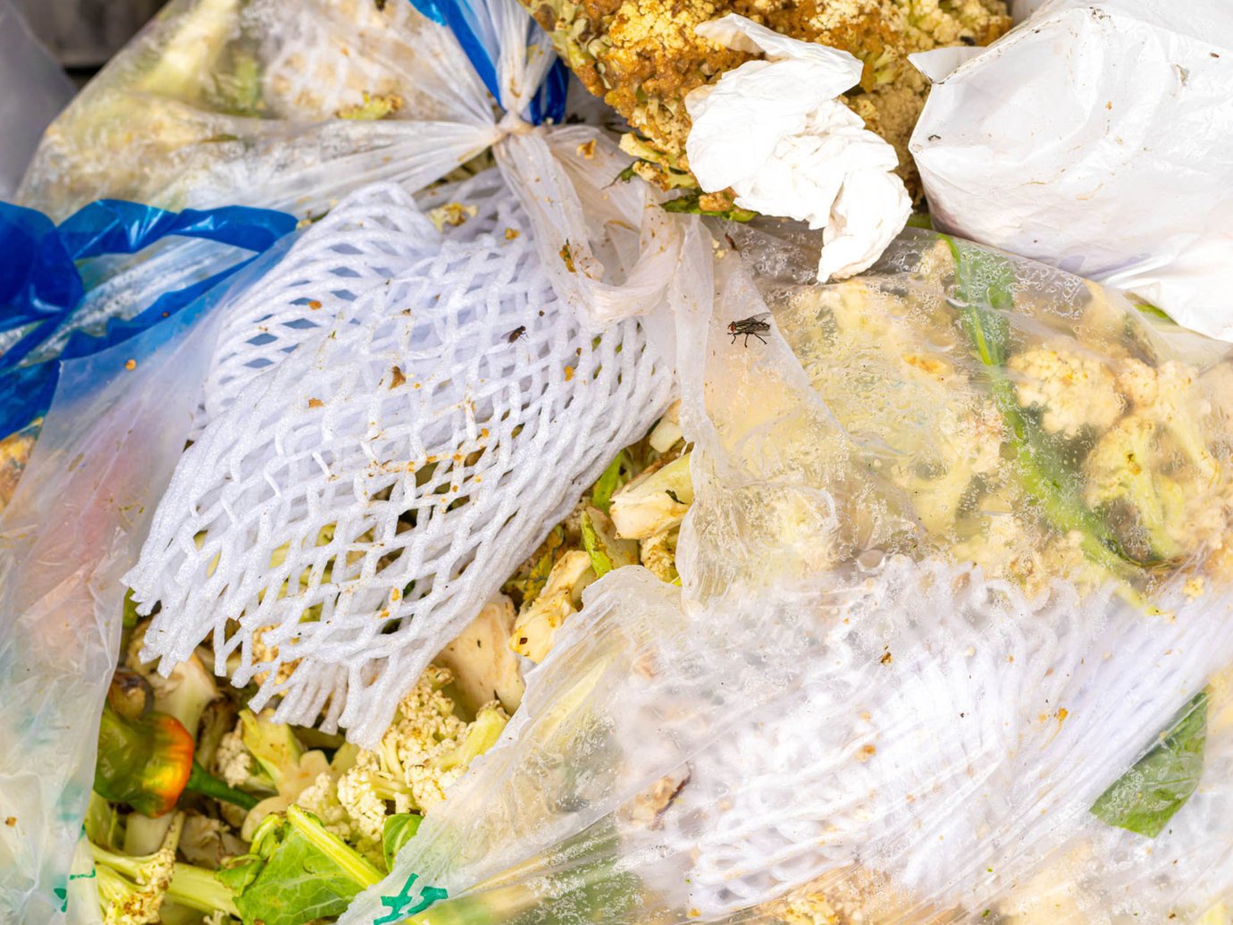 food waste in clear garbage bags