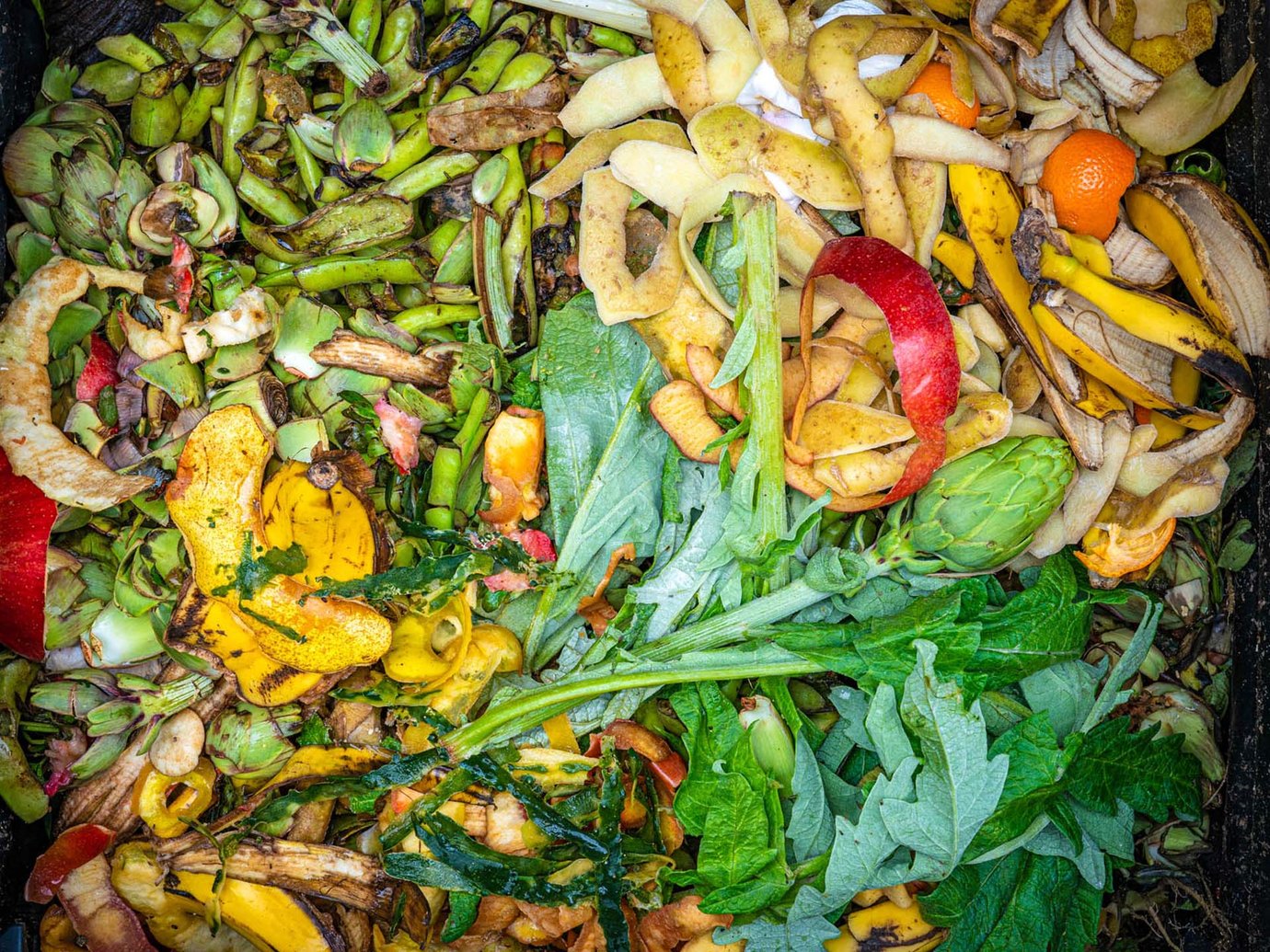 pile of organic food waste