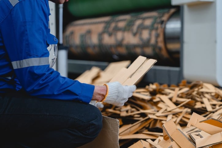 A worker at a manufacturing facility examines cardboard.