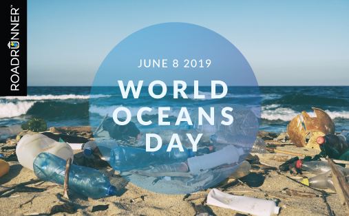 Happy World Oceans Day 19